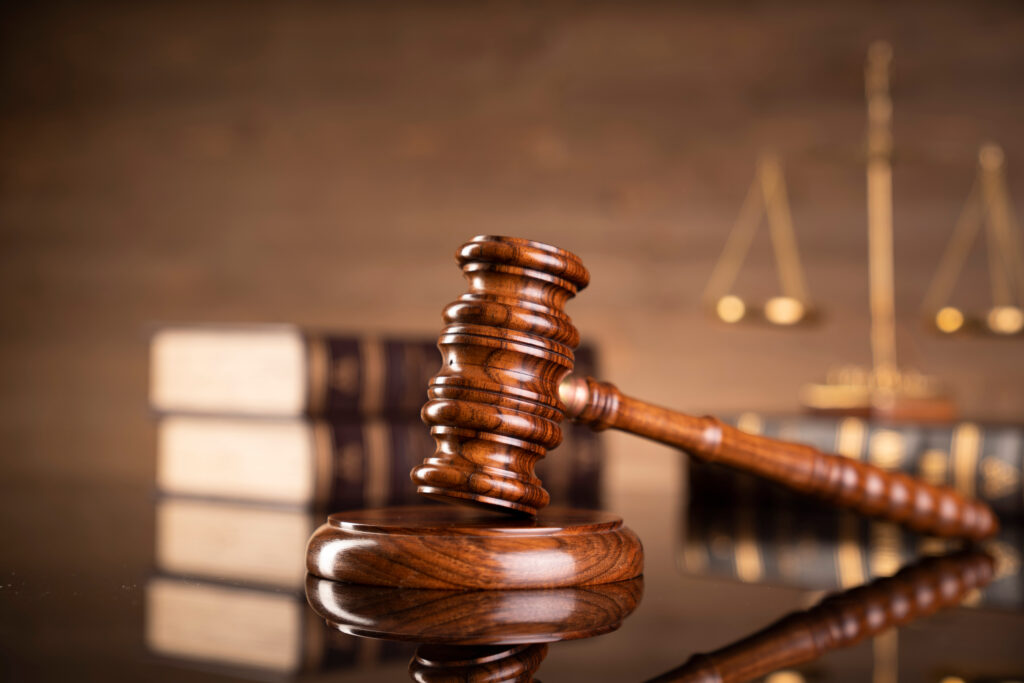 Civil & Constitutional Litigation